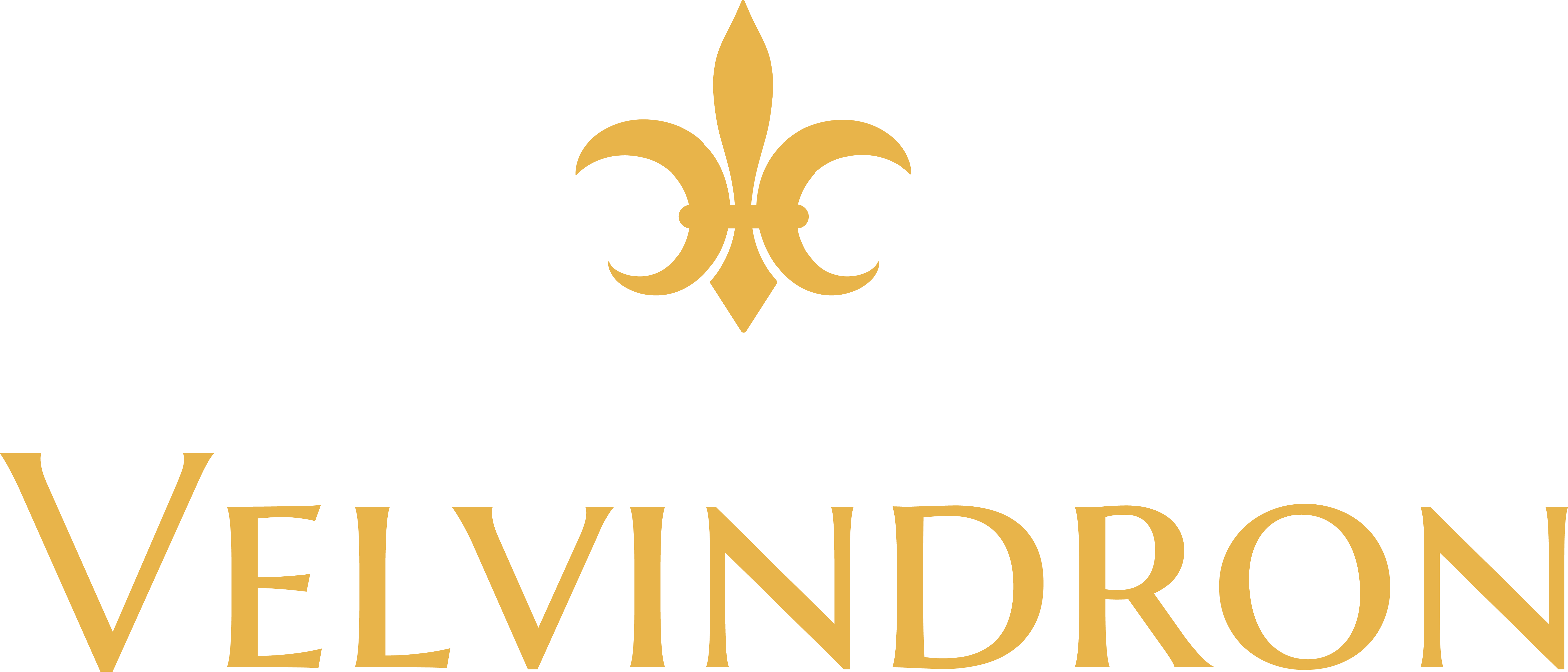 Velvindron Logo